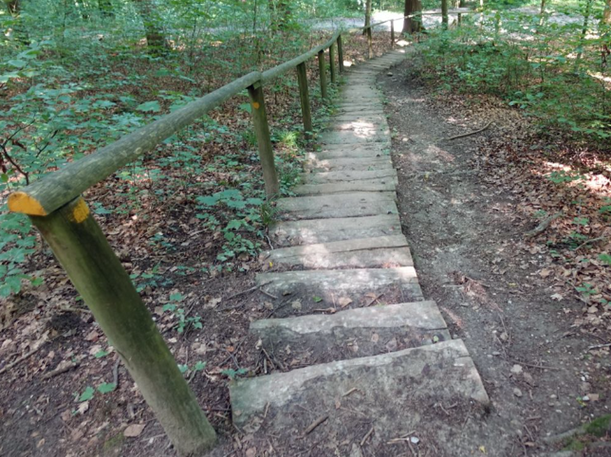 Tössegg Petersboden wandern rauszeit Treppen Treppenwandern