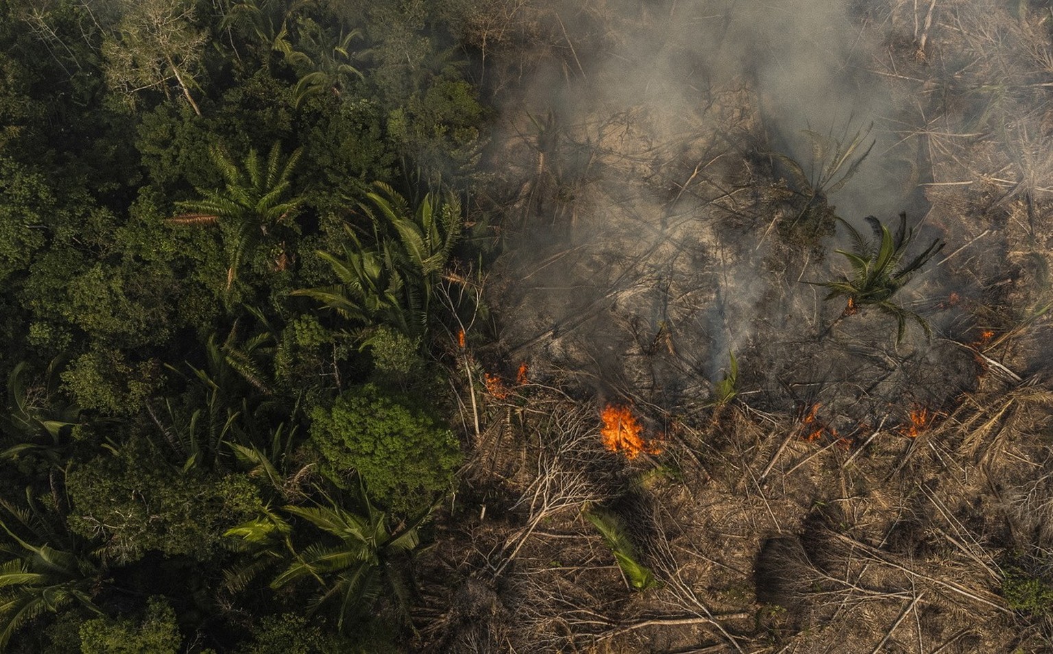 epa10846430 A picture taken with a drone shows one of the fires caused in the Amazon jungle, in the municipality of Manaquiri near Manaus, Amazonas state, Brazil, 07 September 2023. Fires in the Brazi ...