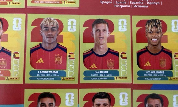 Panini WM 2026