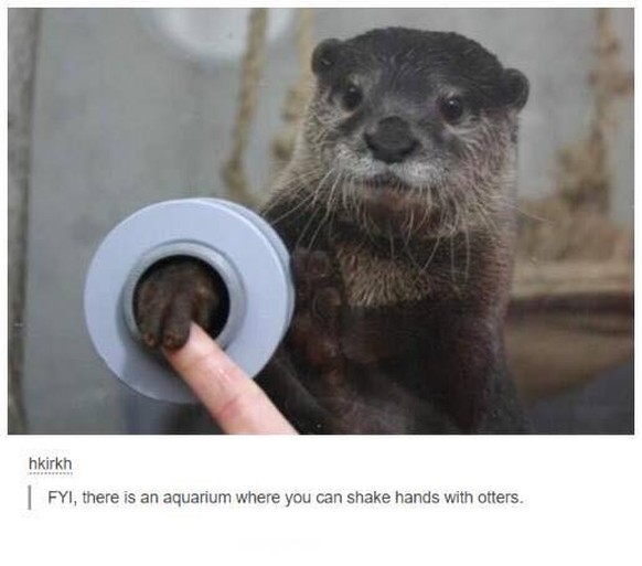 Otter
Cute News
https://imgur.com/gallery/3LNdJ