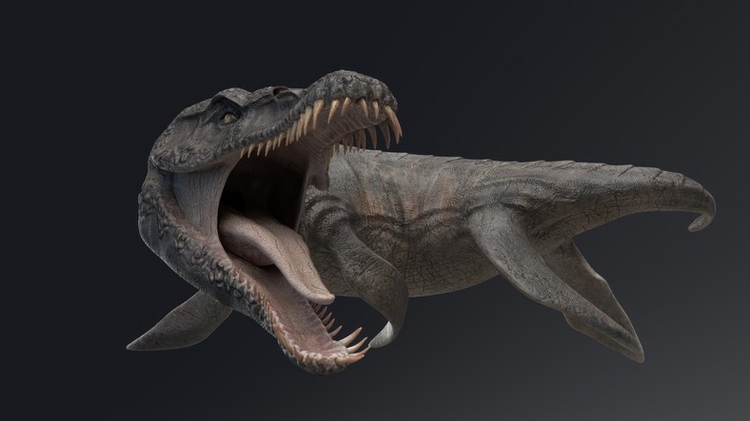 Predator X - Pliosaurus funkei pose render of background. 3d rendering