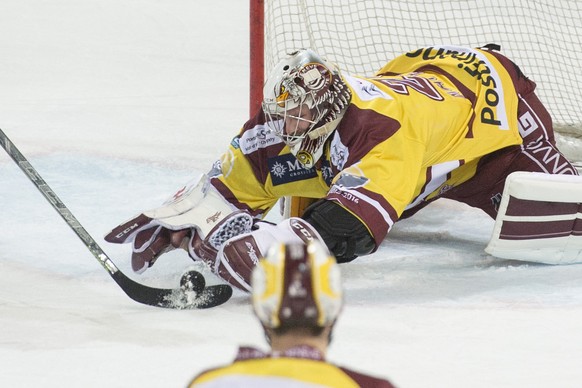 Genf-Goalie Robert Mayer hütete gegen Weissrussland das Schweizer Tor.