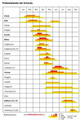 Pollenflugkalender