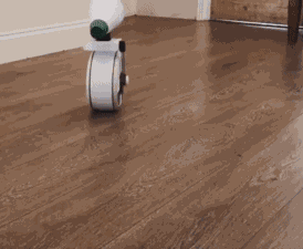 Animiertes GIF