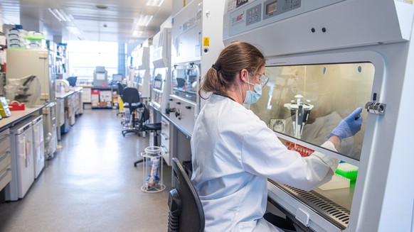 epa08837006 A handout photo dated 26 June 2020 and made available by the Oxford University 23 November 2020, showing employees processing serum at the laboratories of Oxford University to produce a co ...