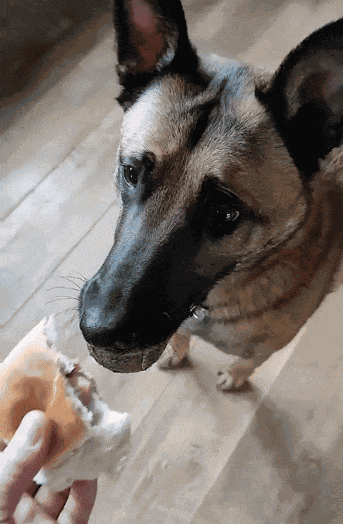 Animiertes GIF