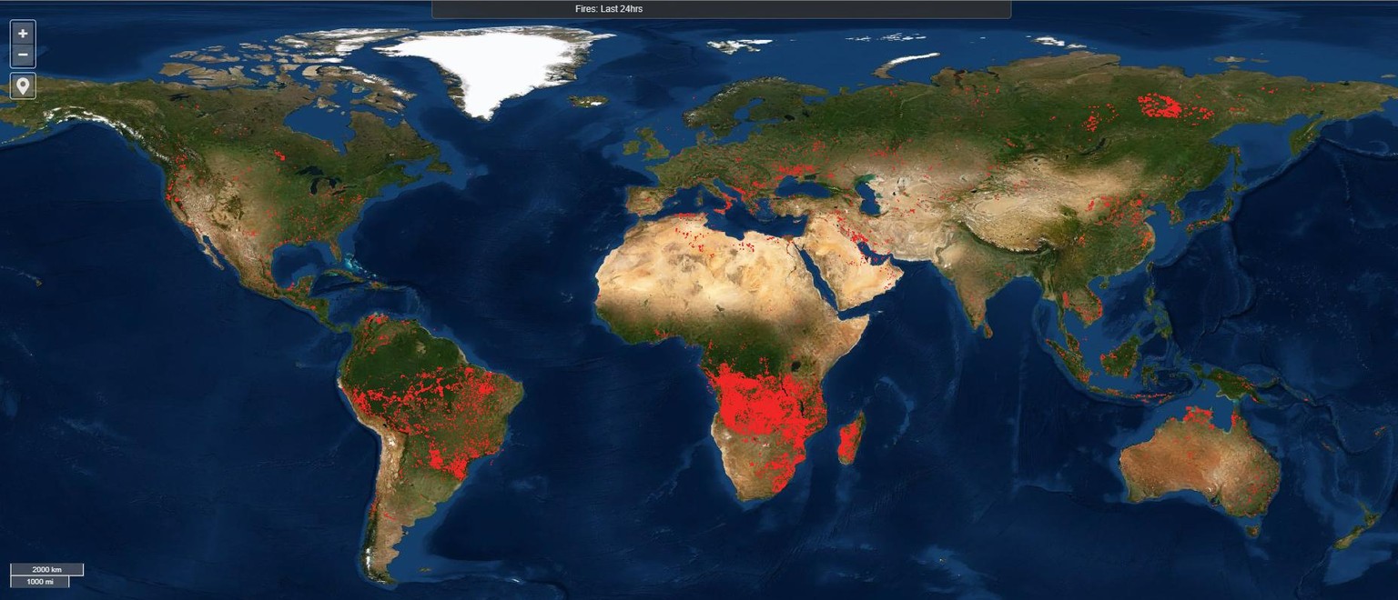 Firms ist das weltweite Feuer-Monitoring der Nasa. Das Bild zeigt die Brände und thermischen Anomalien der letzten 24 Stunden (Stand 10. August). Jeder rote Punkt ist ein Brandherd.