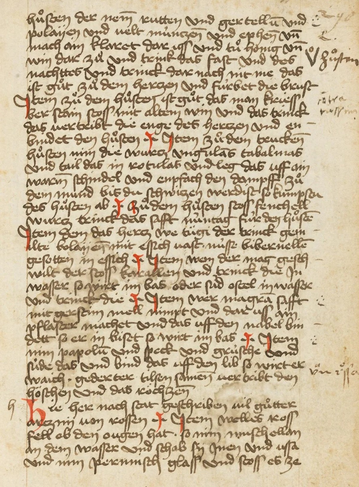 Auszug aus der medizinischen Sammelhandschrift mit der Signatur «Codex S 386», ca. 1463-1466.
https://www.e-codices.ch/en/zbs/S-0386/149r
