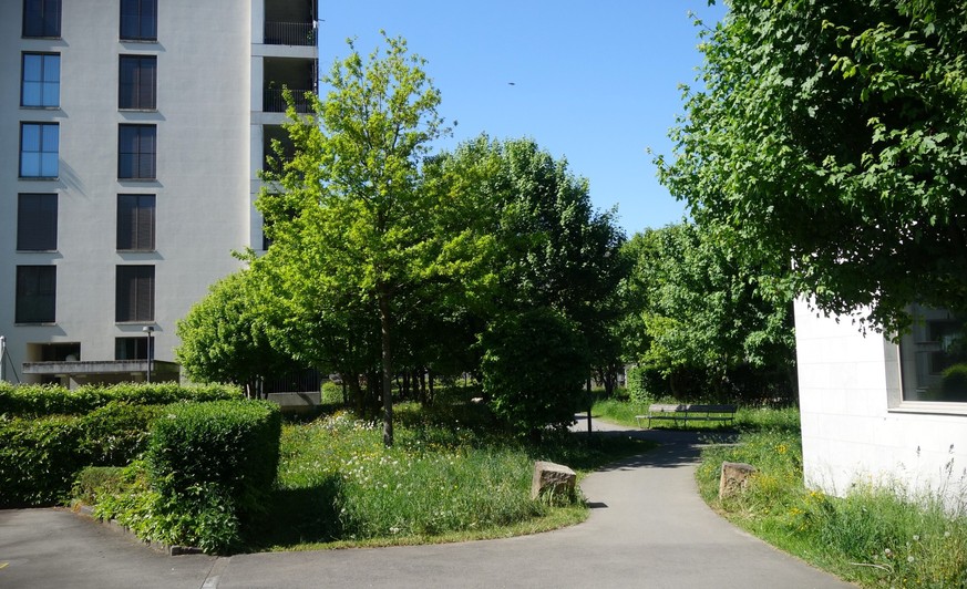 Die Gemeinde Emmen im Kanton Luzern lebt das, wovor die SVP im Abstimmungskampf zur Initiative Keine 10-Millionen-Schweiz warnt: Sie wächst, sie verdichtet und beherbergt besonders viele Ausländerinne ...
