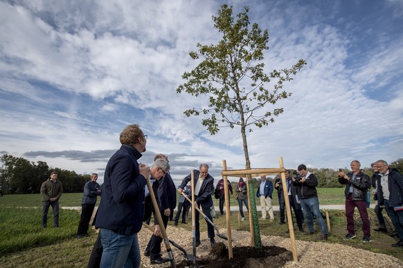 Le Conseiller federal Guy Parmelin, centre, plante un arbre lors de la presentation d&#039;un projet sur le remaniement parcellaire au service d?une agriculture innovante le vendredi 9 octobre 2020 a  ...