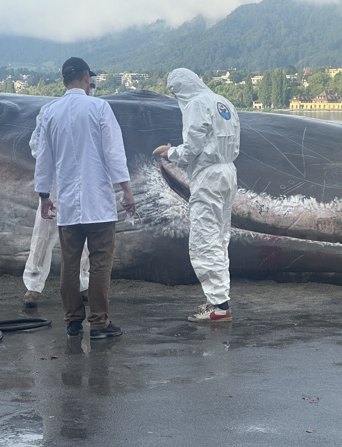 Bühne frei für ein grosses Schauspiel bei der Promenade beim Zürcher Utoquai.