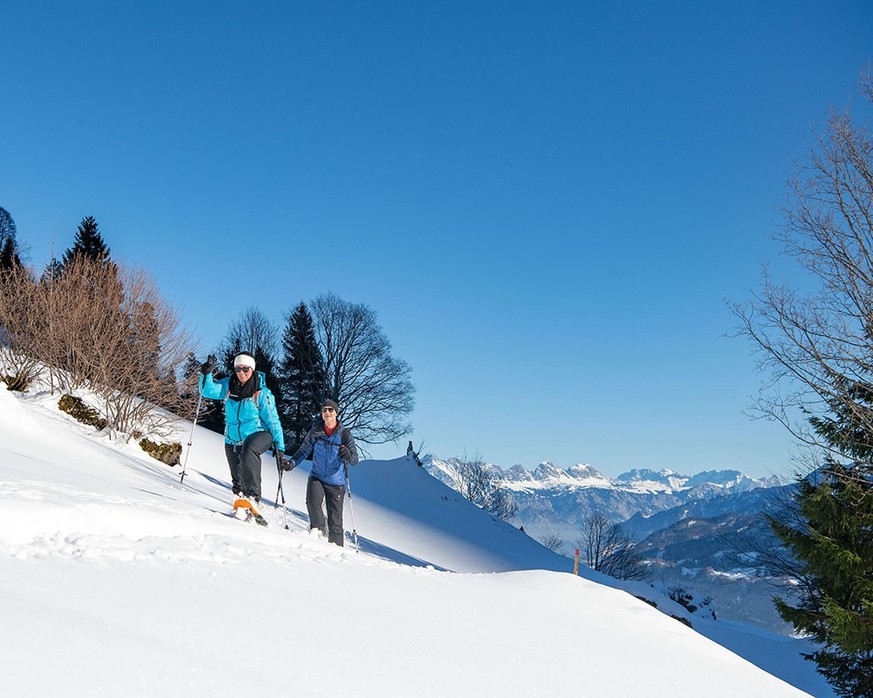 Rauszeit neue Schneeschuhtrails SchweizMobil-Route 998 Niederurnen