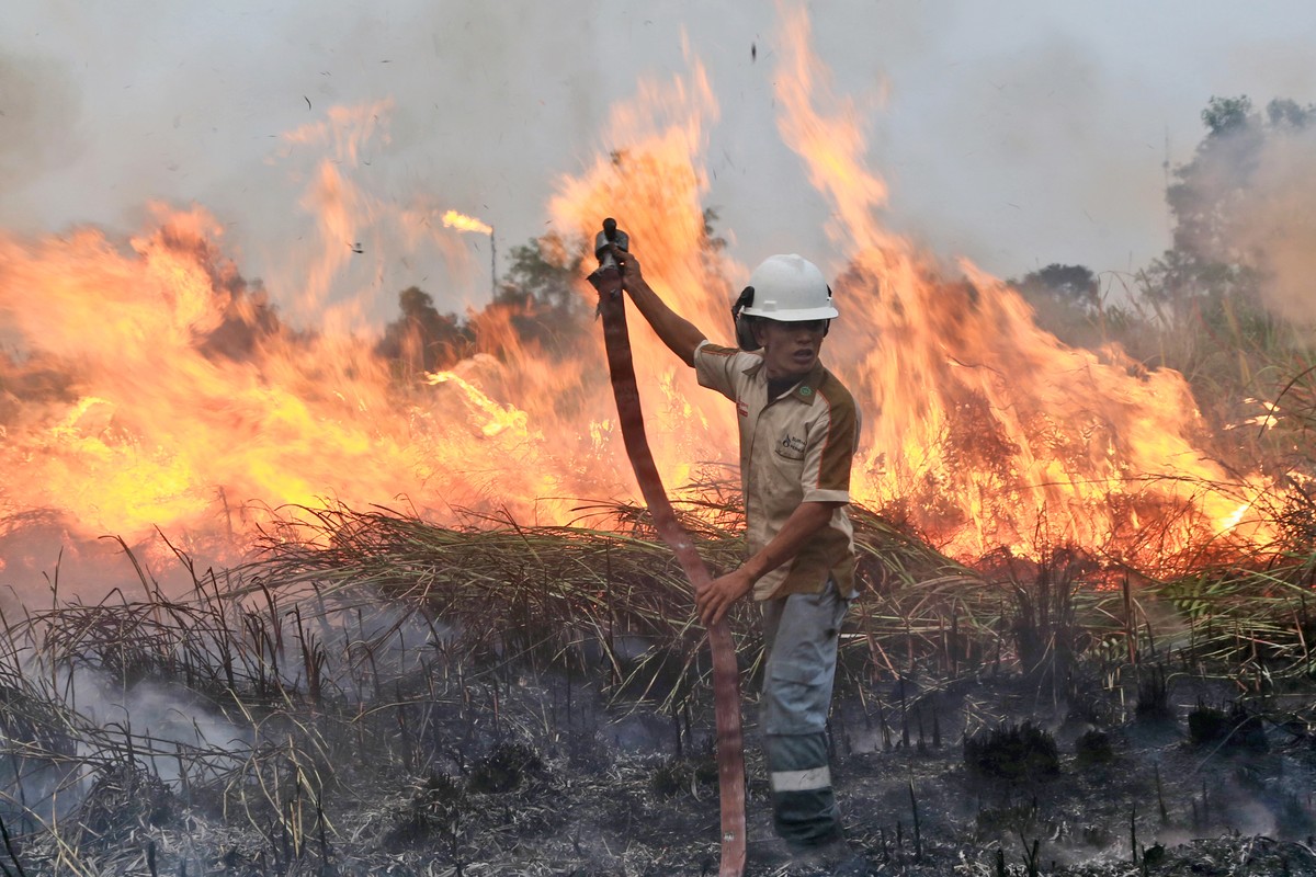 A fireman works to contain a wildfire on a field in Ogan Ilir, South Sumatra, Indonesia, Saturday, Sept. 12, 2015. Wildfires caused by illegal land clearing in Indonesia's Sumatra and Borneo isla ...