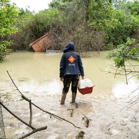 A helper searches the mud for surviving animals.