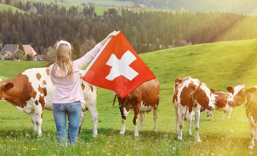 Wie die Schweiz von TTIP betroffen ist: 9 Fragen und Antworten zum umstrittenen Abkommen