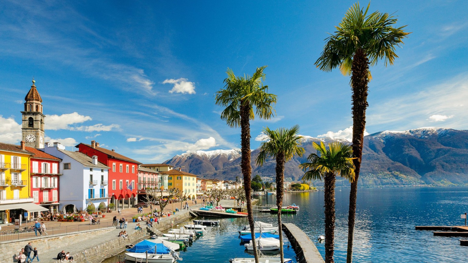 Chinesische Hanfpalme, Chinesische Hanf-Palme, Hanfpalme, Hanf-Palme Trachycarpus fortunei, Trachycarpus excelsa, Seepromenande von Ascona am Lago Maggiore an einem sonnnigen Tag im Winter mit schneeb ...