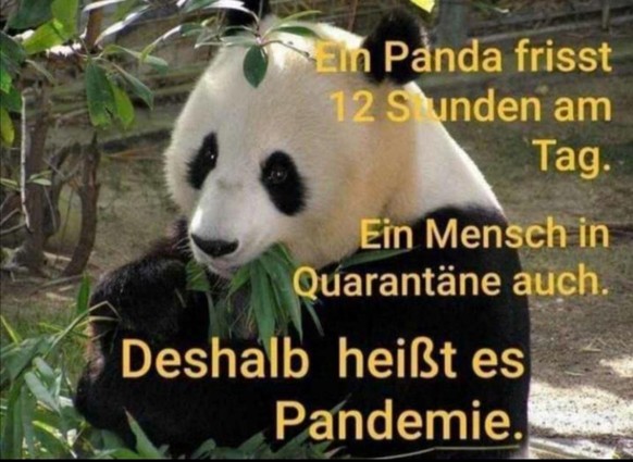 Aufgepasst, hier musst du rein: PICDUMP!\nDarum.. Habe mich schon gefragt