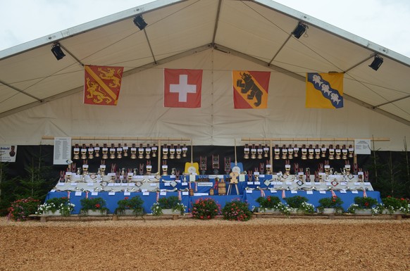 Dieses Wochenende startet das eidgenössische Hornusserfest in Limpach.