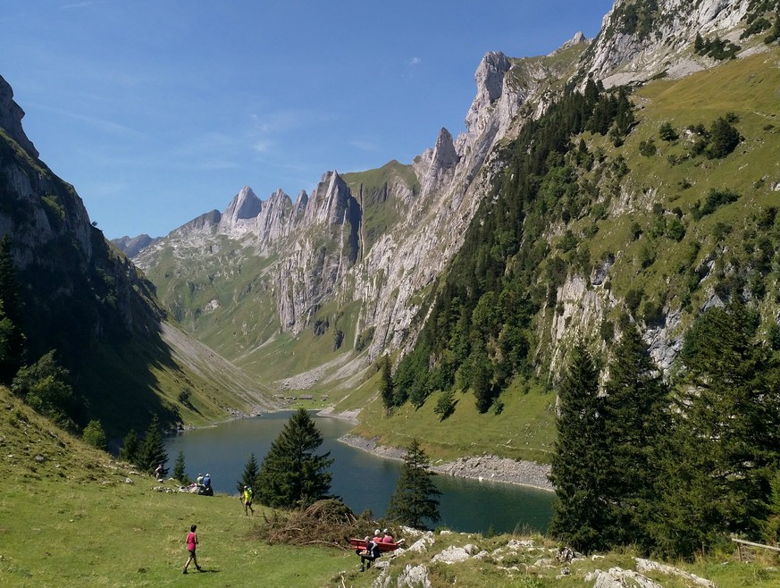 Fählensee AI. (Bild: Julian Wermuth/watson)