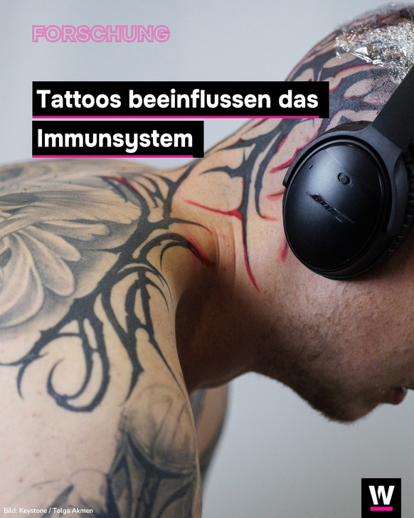 &lt;p&gt;Forschende fanden mit Experimenten an Mäusen heraus, dass Tattoo-Tinte das Immunsystem beeinflusst.&lt;/p&gt;
