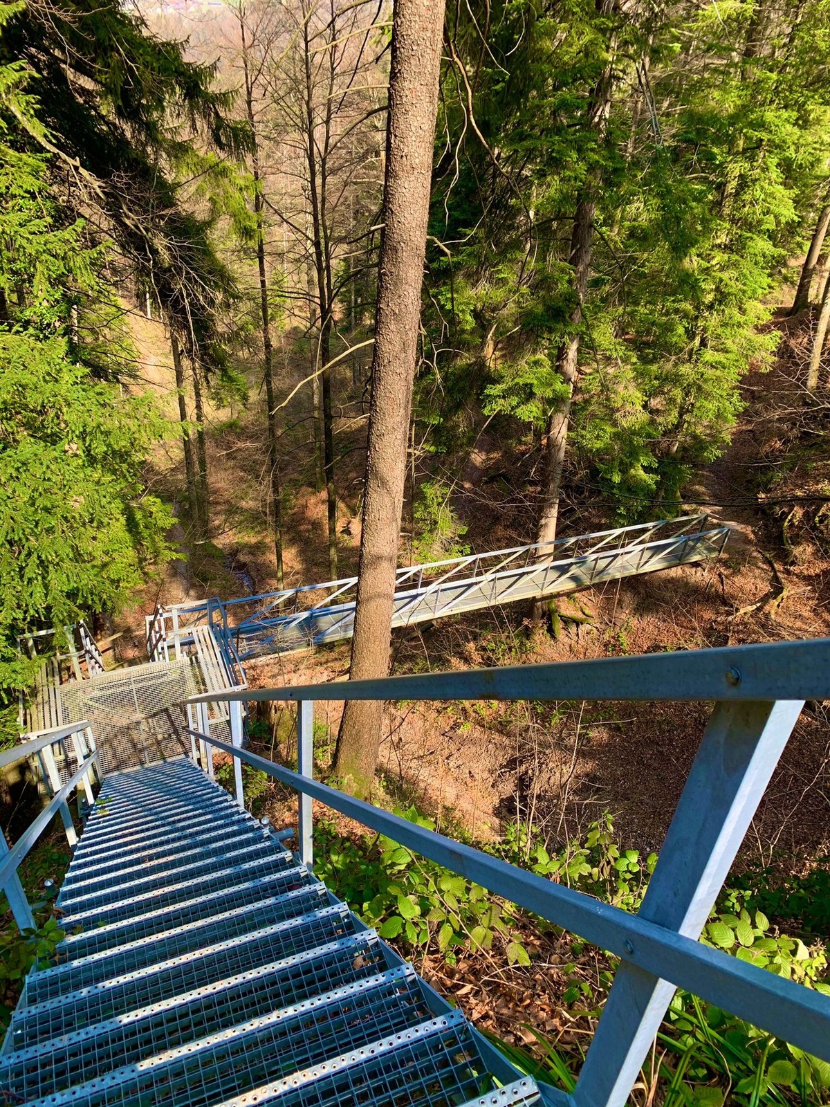 Rauszeit Schluchten Lochbachtobel