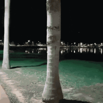 Animiertes GIF