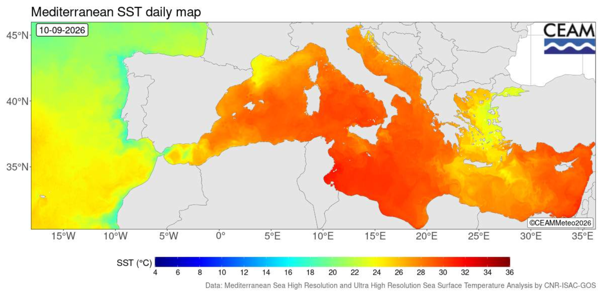 Aktuelle Oberflächentemperaturen des Mittelmeers und des angrenzenden Atlantiks, 11.9.2026