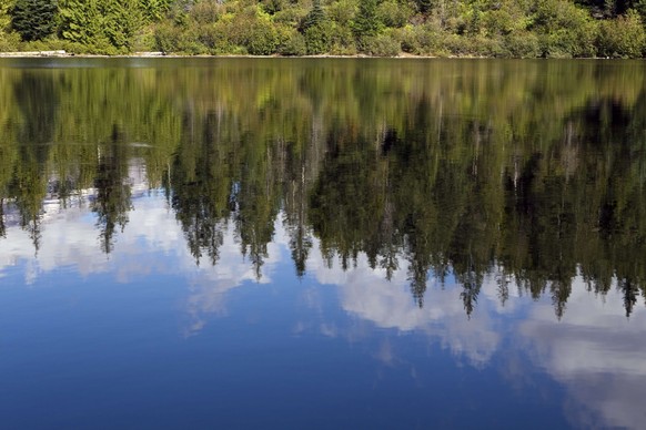 Drohen vom CO2-Speicher zur CO2-Quelle zu werden: Die borealen Wälder.