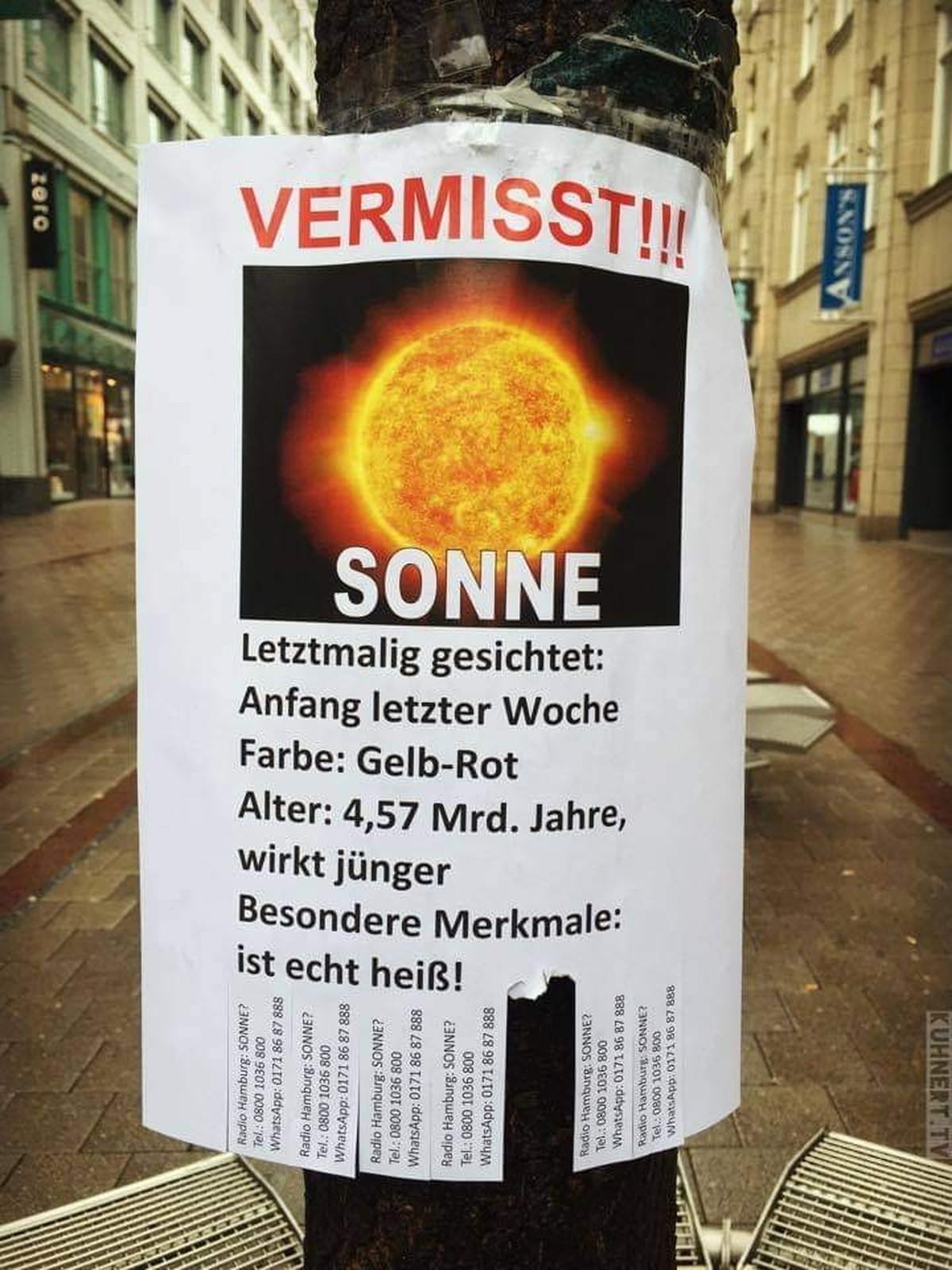 Bild