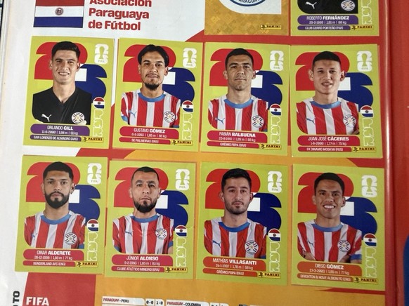 Panini WM 2026