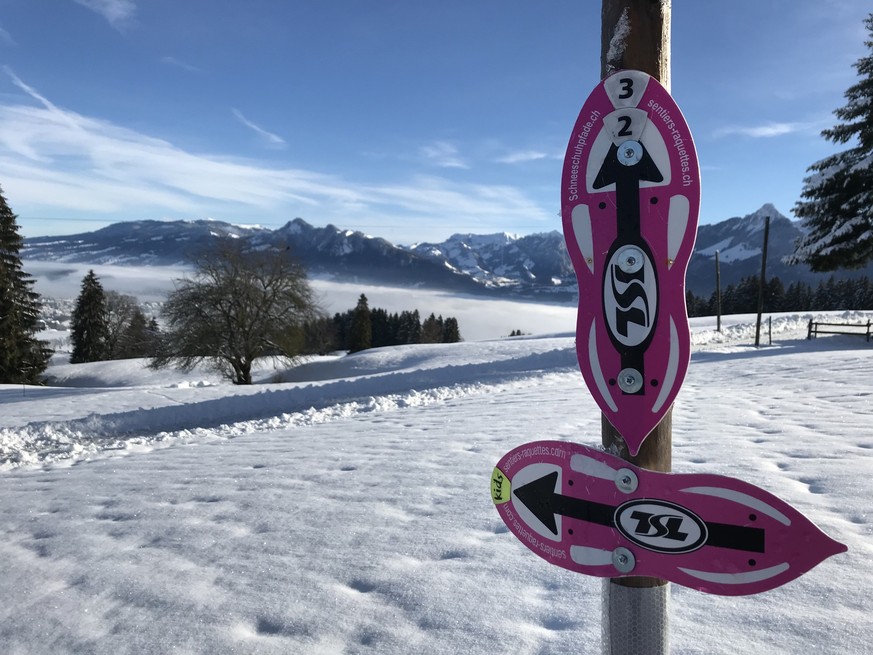 La Chia Part-Dieu, Rauszeit Schneeschuhtrails für Einsteiger