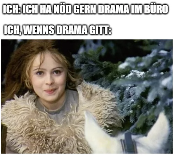 Aschenbrödel Memes