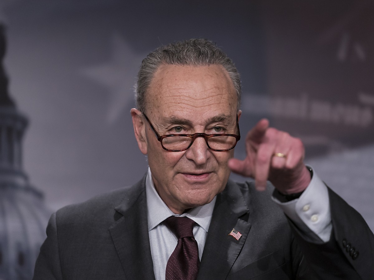 Chuck Schumer, Mehrheitsf