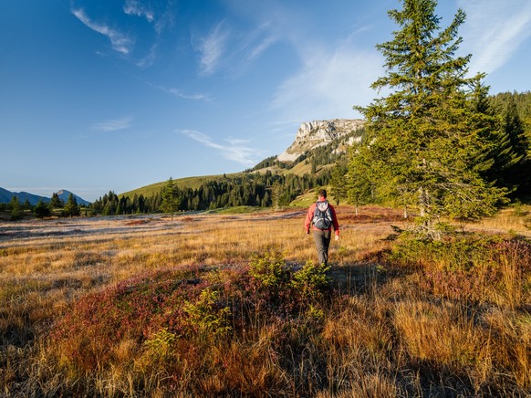 Genauer Standort nicht kommunizieren! Wanderer in der herbstlichen Moorlandschaft. Fotoproduktion für UBE-Imagebroschüre &quot;Ein Segen&quot;.