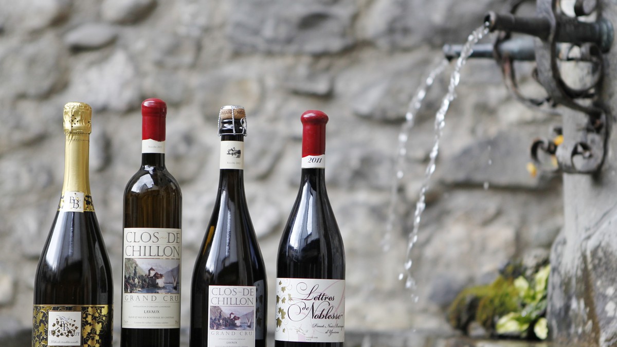 Schweiz produzier101 Millionen Liter Wein
