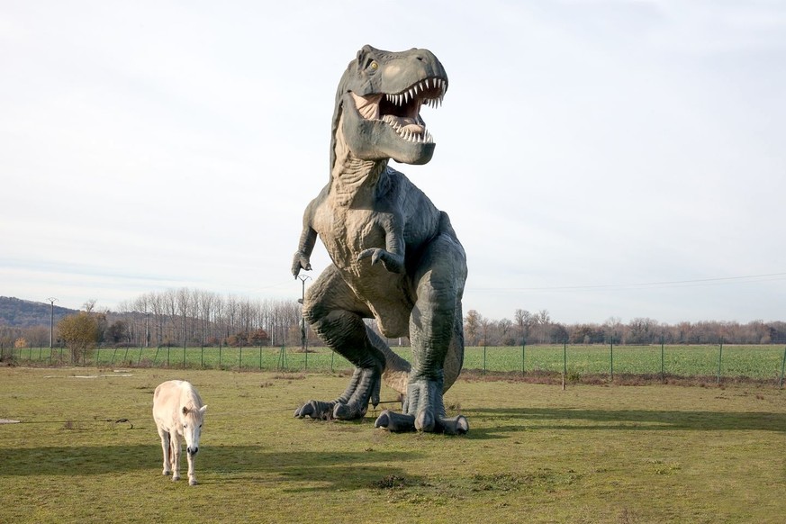 Weird France! Skurrile Gebäude und Strassenattraktionen in Frankreich. https://www.archive-arn.fr/