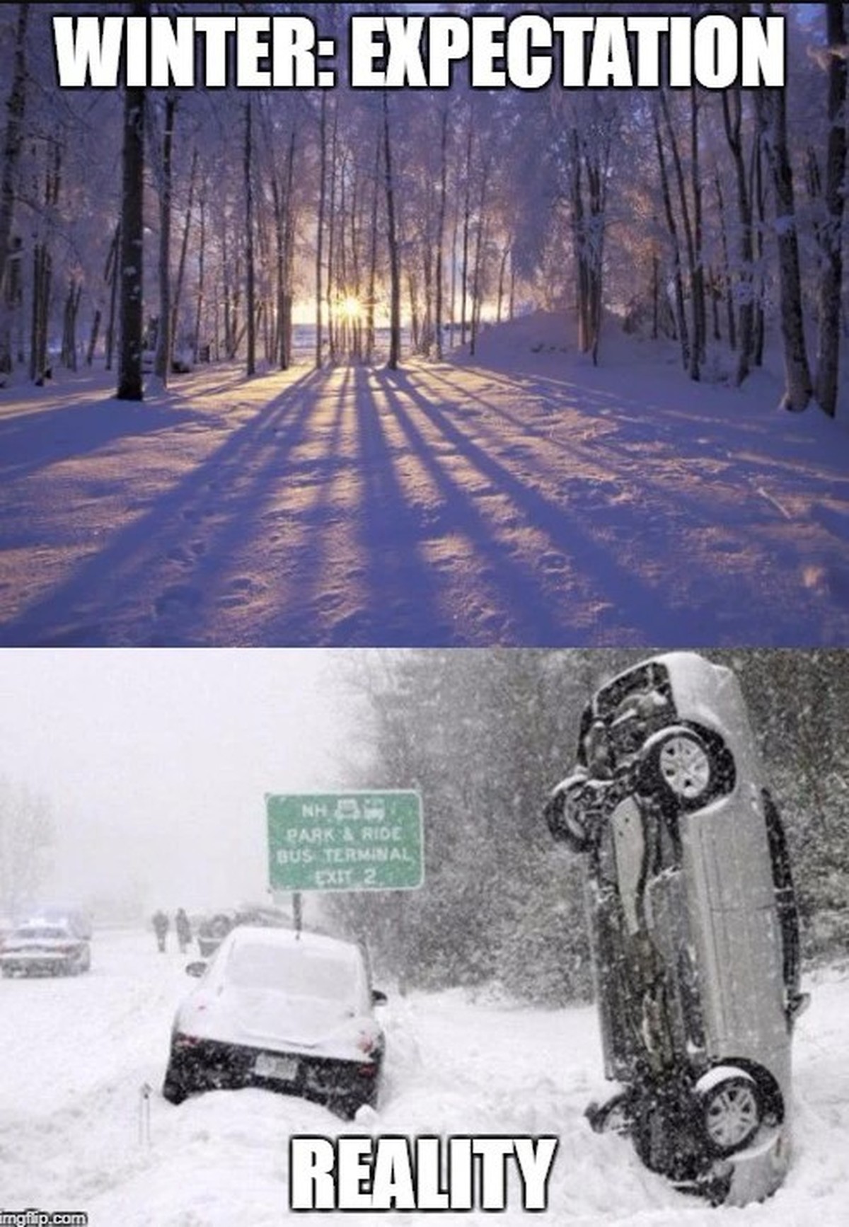 Winter Memes