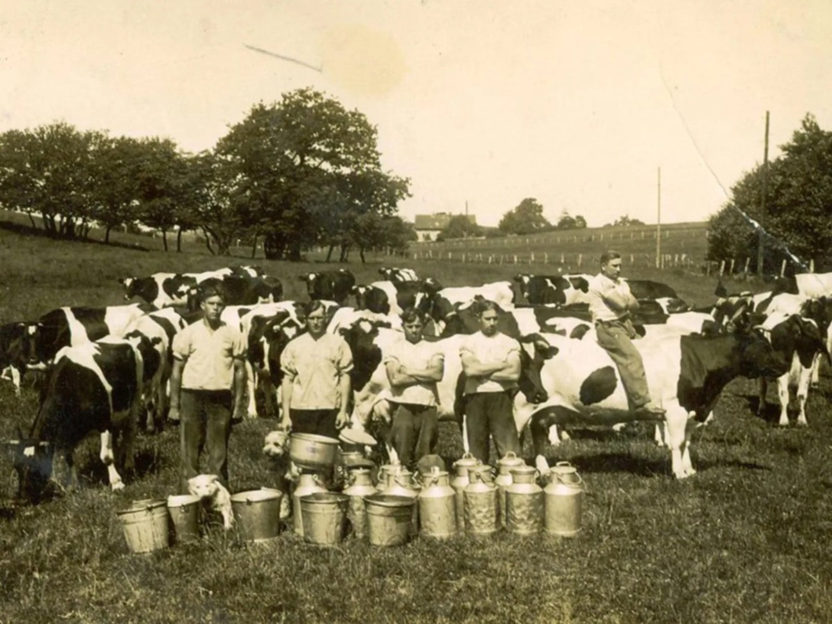 Vachers suisses photographiés à Königsberg en Prusse-Orientale.
https://allerleischweiz.de/schweizen-in-deutschland/10-berufsbezeichnung-schweizer/