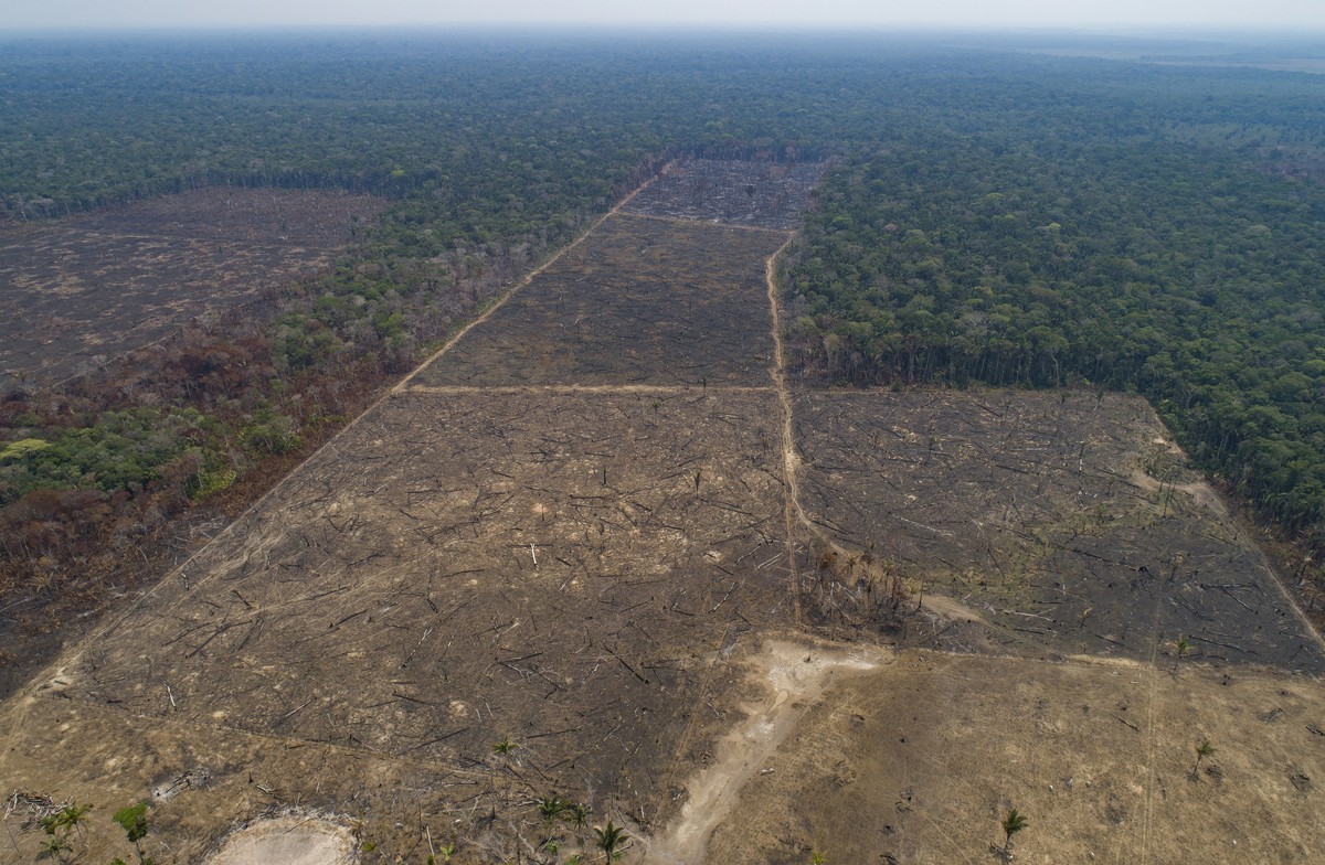 Land recently burned and deforested by cattle farmers stands empty near Canutama in Amazonas state, Brazil, Monday, Sept. 2, 2019. The Brazilian Amazon saw 30,901 fires in August, the highest for the  ...