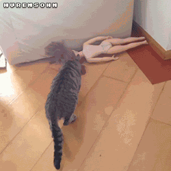 Animiertes GIF