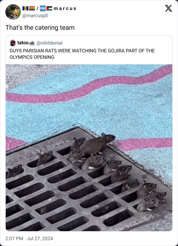 Memes zu Olympia 2024