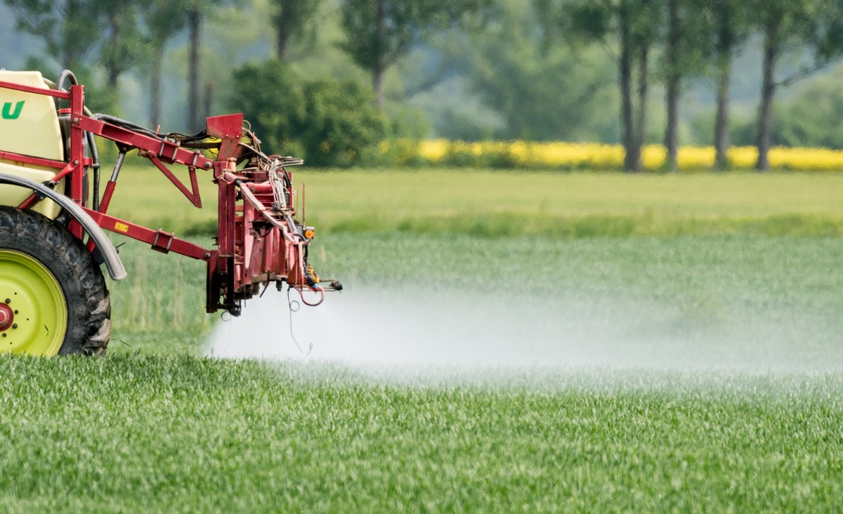 ARCHIV - ARCHIV - 18.05.2015, Brandenburg, Neuranft: Ein Landwirt fährt mit einer Dünger- und Pestizidspritze am über ein Feld mit jungem Getreide nahe Neuranft im Oderbruch. Bei der Schädlingsbekämpf ...