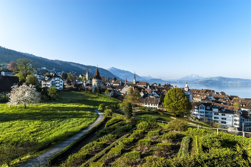 Guggiwiese Zug, Rauszeit Rosenblüten