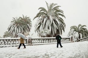 Schneebedeckte Palmen im Tessin