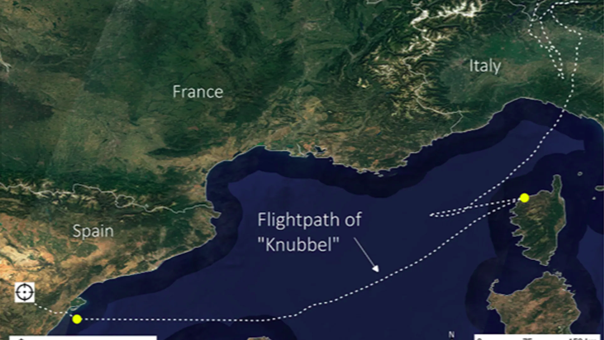 Knubbels Route: Insgesamt hat Knubbel in drei Flugetappen eine Strecke von 1.320 Kilometer zurückgelegt, bei einer mittleren Fluggeschwindigkeit von 57 km/h.