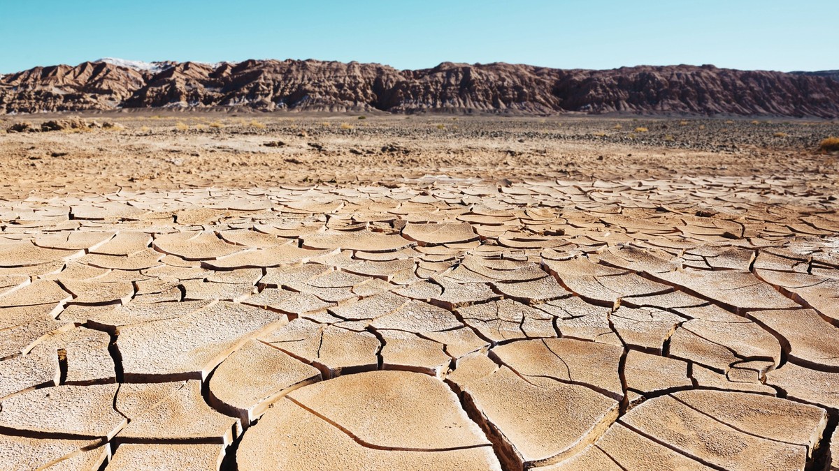 South America, Chile, Dry cracked earth in the Atacama desert PUBLICATIONxINxGERxSUIxAUTxHUNxONLY GEMF000253

South America Chile Dry craft personnel cracked Earth in The Atacama Desert PUBLICATIONx ...
