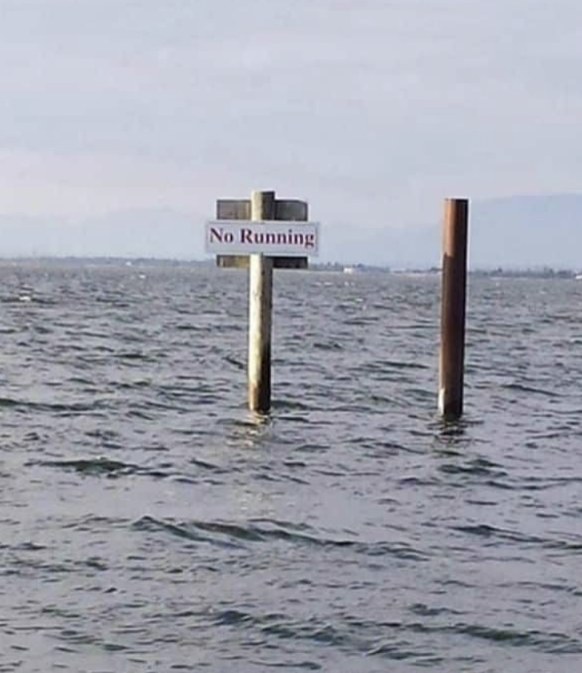 die lustigsten Fails der Woche