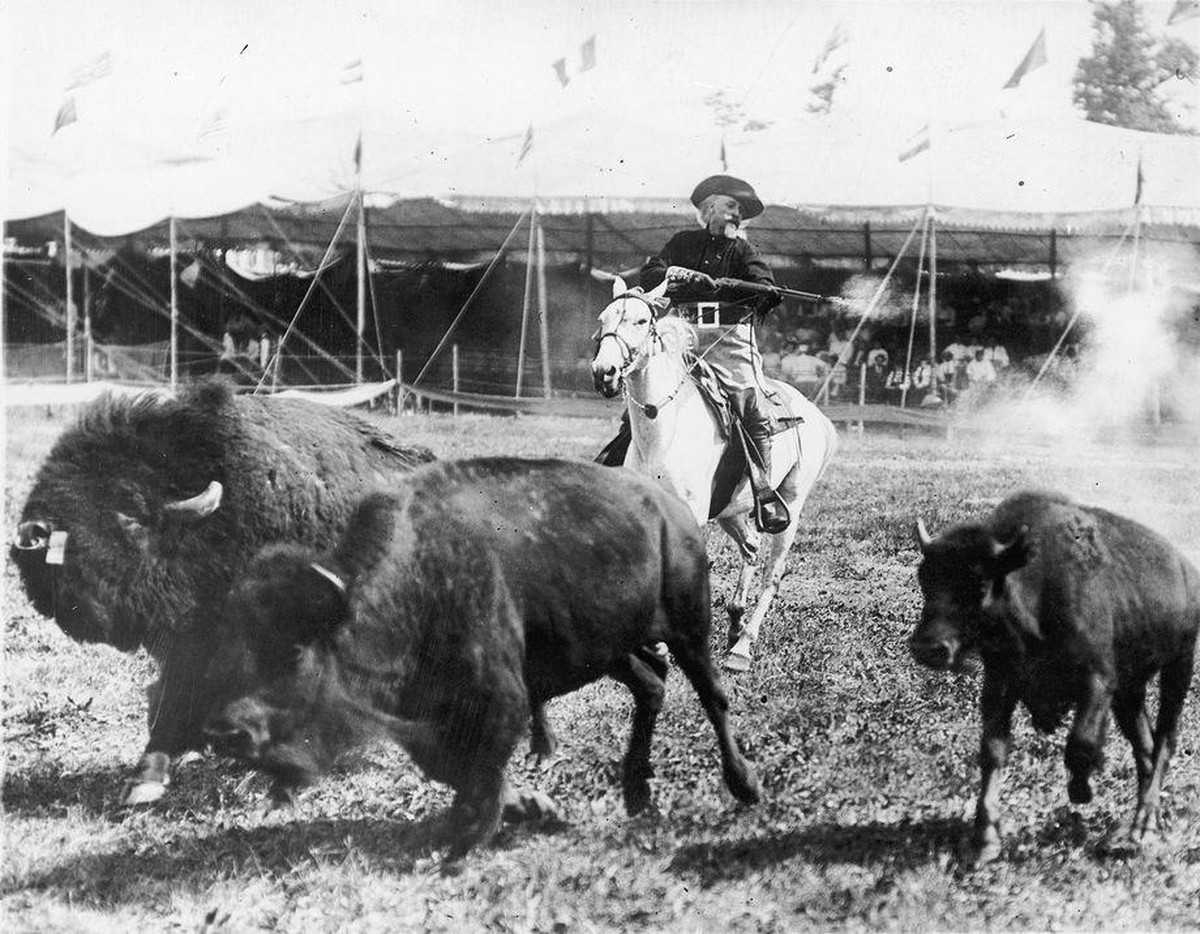 Identifier 	P.6.0373Title 	William F. Cody on horse and shooting a rifle in arenaDate Created 	ca. 1905Description 	William F. Cody riding on a white horse and shooting a rifle in arena with runnin ...