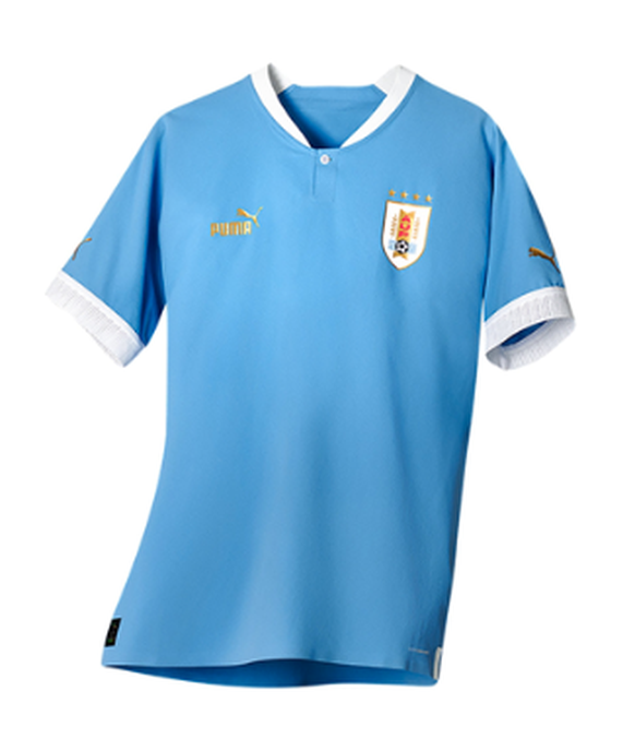 Fussball-WM 2022: Trikot Uruguay