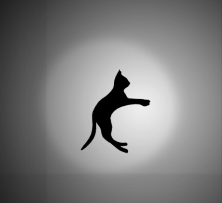 Auf welche Seite dreht sich diese Katze? Diese optischen Täuschungen werden deine Sinne auf die Probe stellen